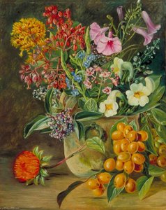 Groep Braziliaanse Boswildbloemen En Bessen — Marianne North