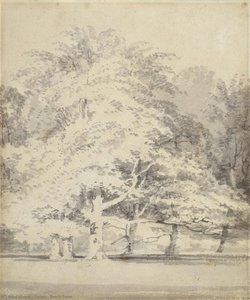 Beech Trees — J.m.w. Turner