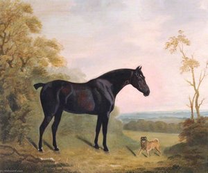 A Bay Hunter And A Pug Dog In A Landscape — Clifton Tomson