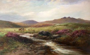 Dartmoor, Devon — George Henry Jenkins