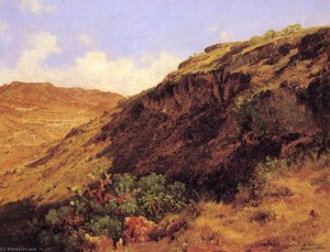 Ladera Occidental Del Cerro De Guerrero — José María Velasco