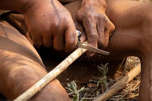 Cutting Into Half — テッサ・バーリン