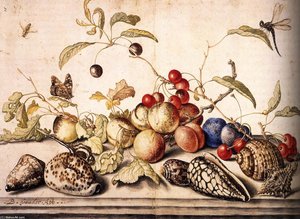 Still-life With Plums, Cherries, And Shells — Balthasar Van Der Ast