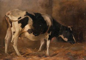 Study Of A Cow — William Joseph Kennedy