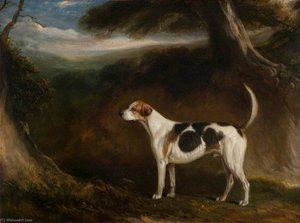 Playmate — John Ferneley Snr
