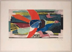 Les Oiseaux Colorés — Georges Braque