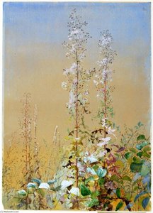 Untitled — Fidelia Bridges