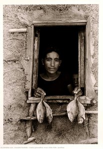 Cuatro Pescaditos (four Little Fish), Juchitán — Graciela Iturbide