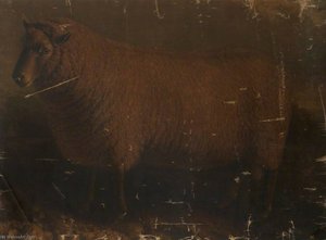 South Down Ram — William Shiels