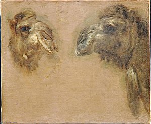 Deux Tetes De Dromadaires — Boel Pieter (boule)