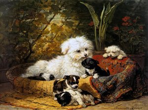 Dog With Puppies In The Garden Sun — Henriette Ronner Knip