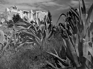 The Acropolis: The Propylaea And The Temple Of Athena Nike — Elli Sougioultzoglou-seraidari