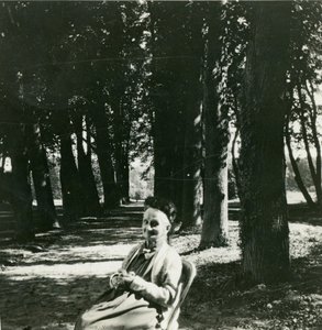 Vuillard — Žanas Edvaras Vijaras