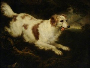 Charles Henry Schwanfelder