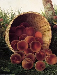 Peaches In An Upturned Basket — William Mason Brown