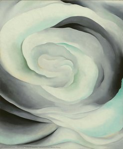 Astrazione Rosa Bianca — Georgia O'keeffe