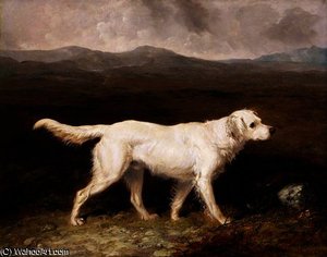 Charles Brett's White English Setter 'sam' — Abraham Cooper