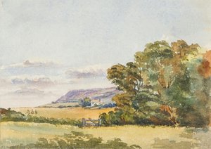 Near Ballaugh Looking East — جورجينا غور كوري