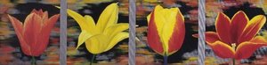 Tulips — Michele Elizabeth Field