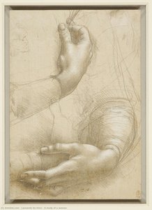 A Study Of A Woman — Leonardo Da Vinci