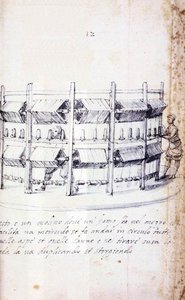 Trattato Sulla Coltivazione E La Produzione Della Seta (serie Di Tredici Disegni, N. 12) — Giuseppe Arcimboldo