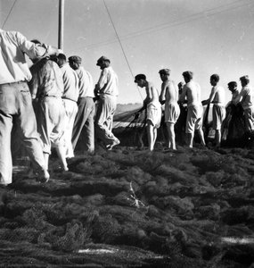 Fishermen On The Island Of Aegina — Voúla Papaïoánnou