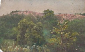 Croham Hurst, Croydon, Surrey, From Fox Farm — William Henry Hope