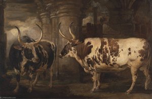 Portraits Of Two Extraordinary Oxen, The Property Of The Earl Of Powis — James Ward