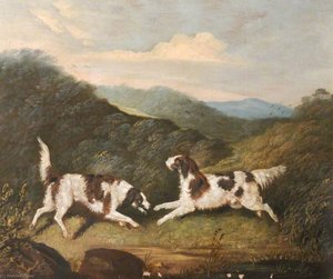 Two Springer Spaniels In A Landscape — Clifton Tomson