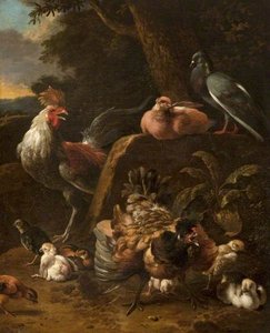 Poultry And Pigeons — Melchior De Hondecoetter