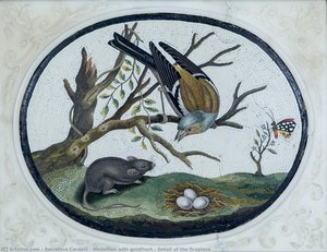 Medaglione Con Fringuello - Dettaglio Del Camino — Salvatore Cardelli