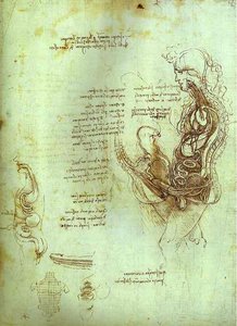 Coition Of Hemisected Man And Woman — Leonardo Da Vinci