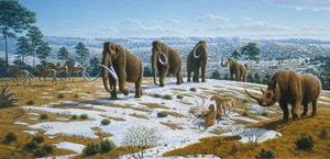 Middle Palaeolithic Paleoenvironment Illustration — Mauricio Antón Ortuzar
