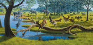 Lower Palaeolithic Paleoenvironment Illustration — Mauricio Antón Ortuzar