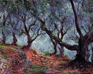 Grove Of Olive Trees In Bordighera — Claude Monet