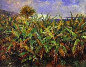 Polje Banana — Renoir