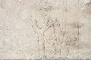 Sala Delle Asse, Detail Of Preparatory Drawing Of Branches And Leaves — Leonardo Da Vinci