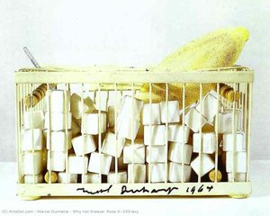 Why Not Sneeze, Rose Sélavy — Marcel Duchamp