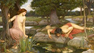 Echo And Narcissus — John William Waterhouse