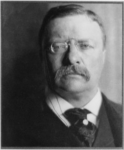 Theodore Roosevelt — Alvin Langdon Coburn
