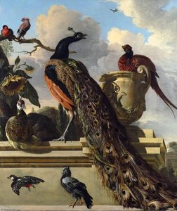 Birds In A Park — Melchior De Hondecoetter