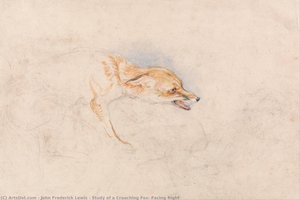 Study Of A Crouching Fox, Facing Right — John Frederick Lewis