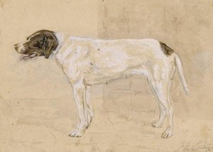 Juno The Dog — John Frederick Lewis