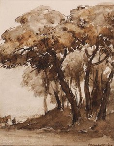 Pins Parasols, Ile De Noirmoutier, Bois De La Cheze — Herman Armour Webster