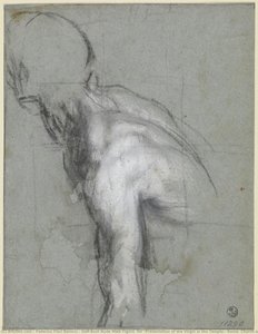 Half-bust Nude Male Figure (for “presentation Of The Virgin In The Temple”, Roma, Church Of Santa Maria In Vallicella) — Federico Fiori Barocci