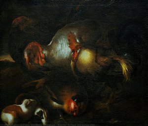Rooster, Turkeys And Guinea Pigs — Il Grechetto