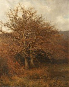 Woodland — Frank Walton