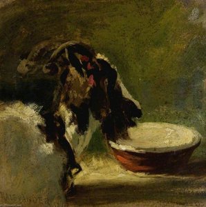 Head Of A Goat — Robert L Alexander