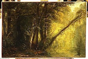 Calme Du Matin Interieur De Foret — პოლ ჰუე