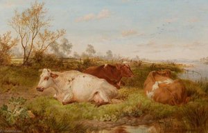 Study Of Cattle — James Walsham Baldock